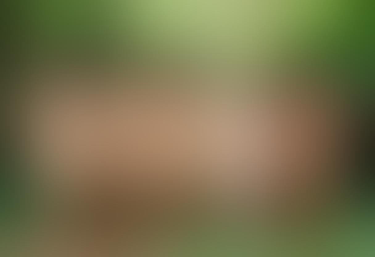 A serene outdoor scene showcasing a diverse group of individuals of varying body types and skin tones, joyfully embracing their natural beauty in an artistic nude pose among lush green nature. Soft sunlight filtering through the trees accentuates their features, with an emphasis on confidence and self-love. The atmosphere is peaceful and empowering, inviting the viewer to appreciate body acceptance. watercolor art style. vibrant colors. nature backdrop.